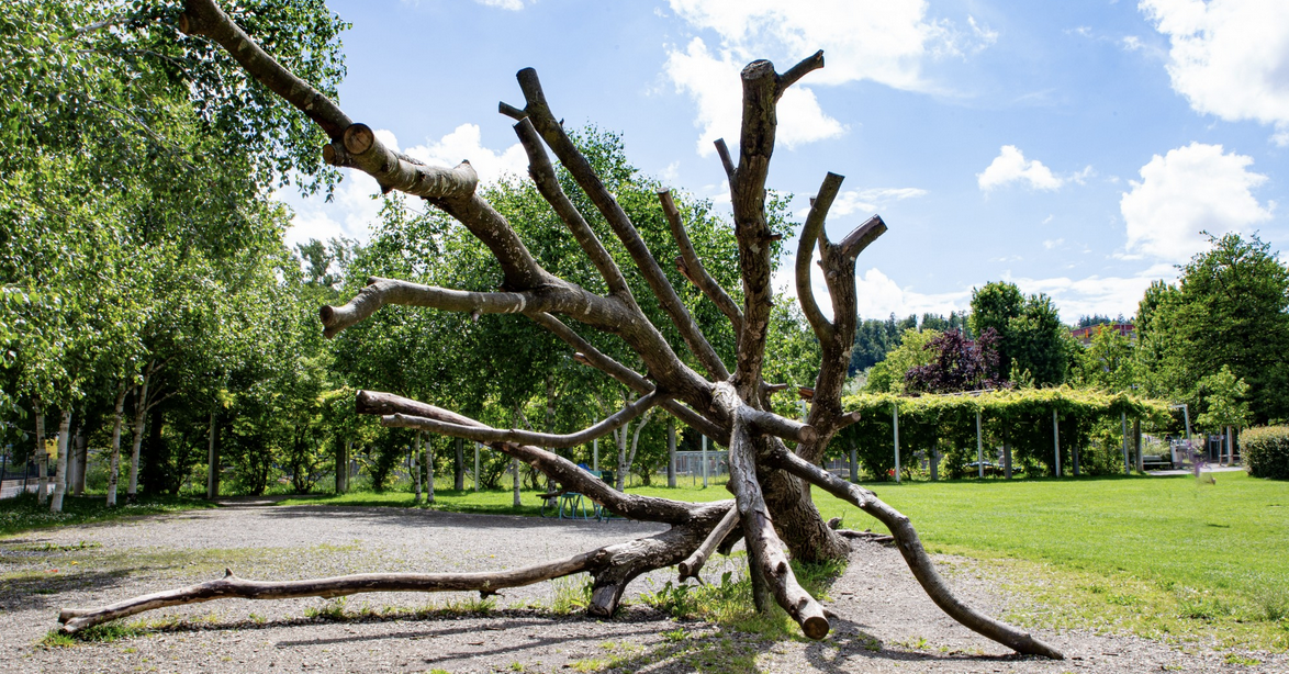 Bachwiesenpark Bachwiesenpark